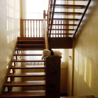 Лестница из дерева для Вашего любимого дома.